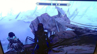 Illustration for article titled Leaker Shows Off Supposed Skyrim: Dragonborn Screenshots, Details